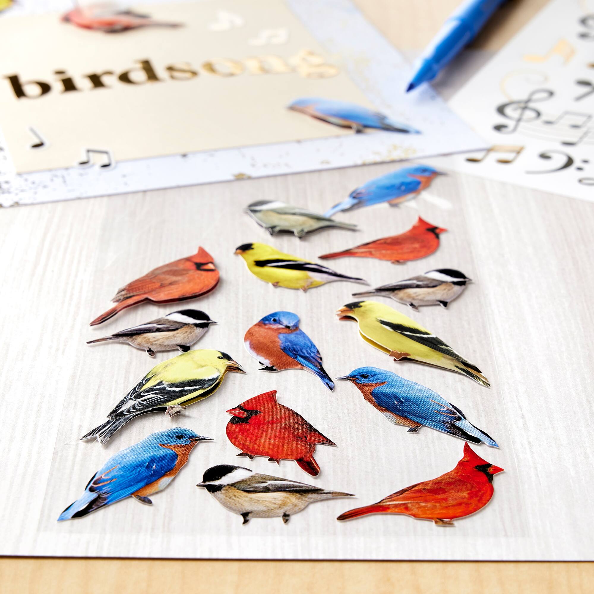 Bird Stickers by Recollections™